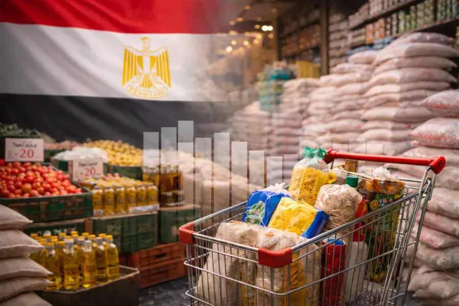 Egypt’s PMI Drops to 48.9 as Inflationary Pressures Mount and Commodity Prices Rise