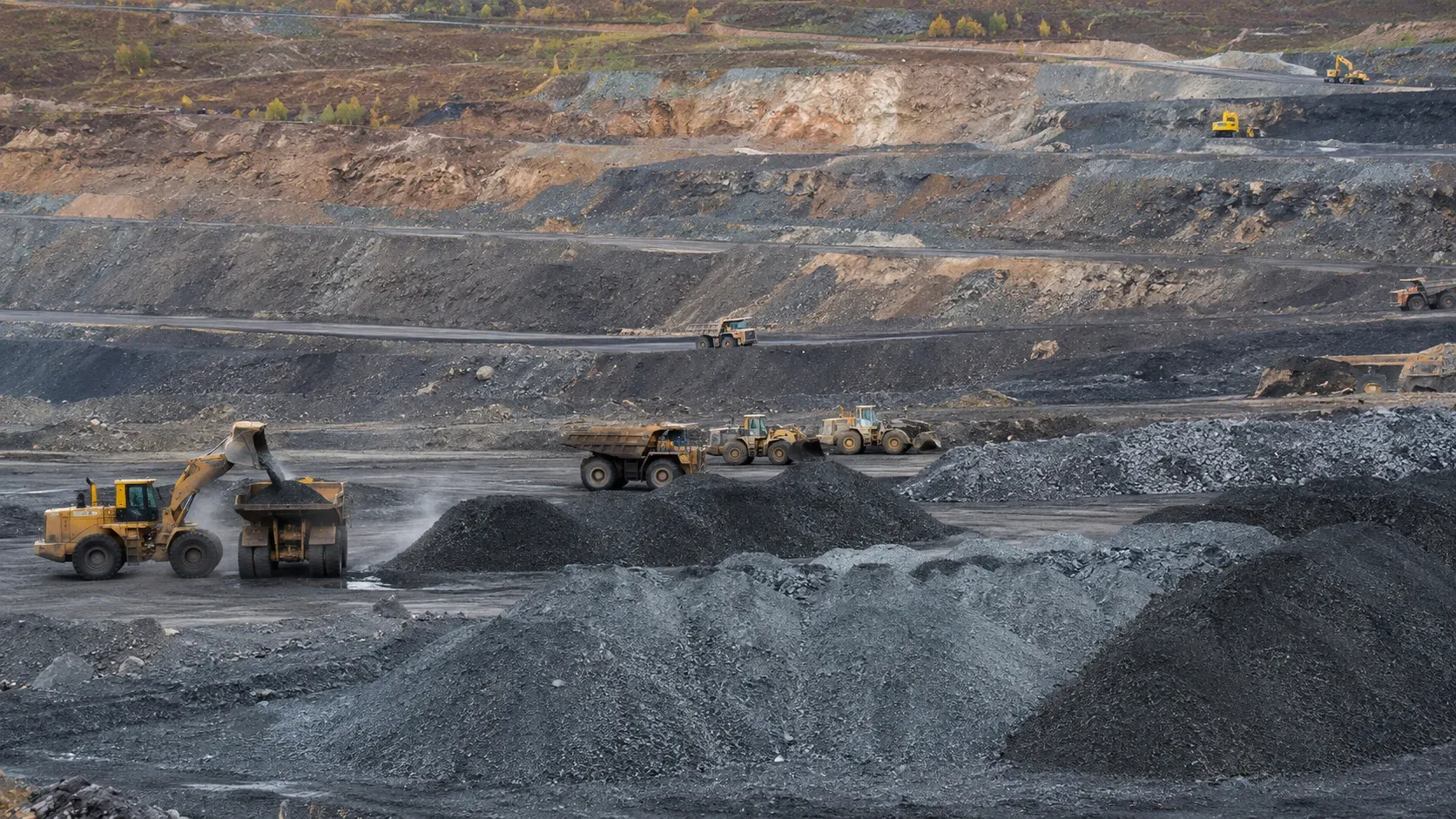 Canada Raw Materials Prices Post Largest Monthly Drop Since 2022, Falling 6.9% in June