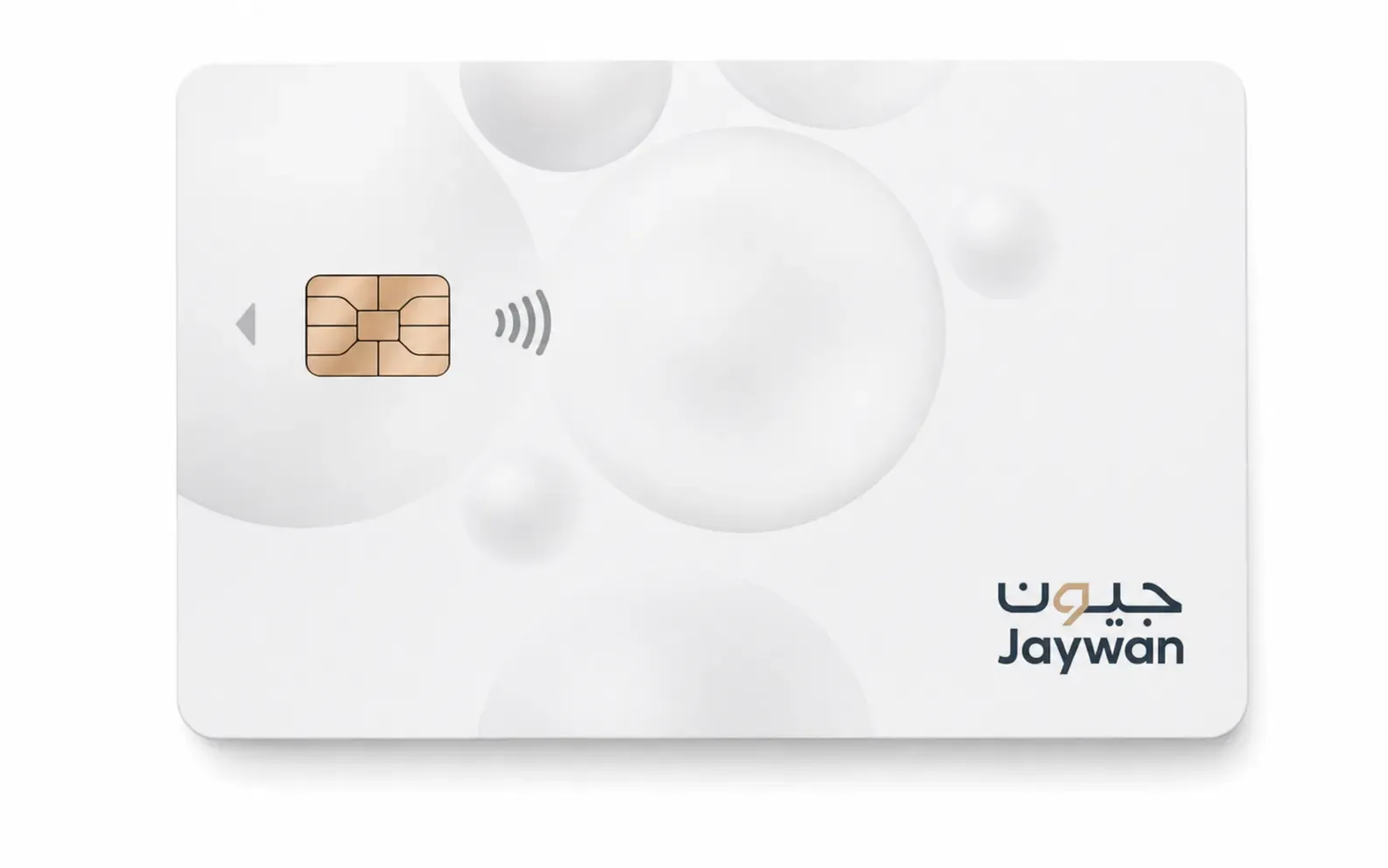 الإمارات تطلق «جيوَن» أول منظومة وطنية للمدفوعات لتعزيز السيادة المالية وتسريع التحول الرقمي